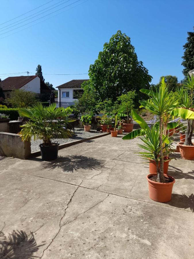 Ferienwohnung "Zum Alten Kuhstall" Oberhausen  Екстериор снимка