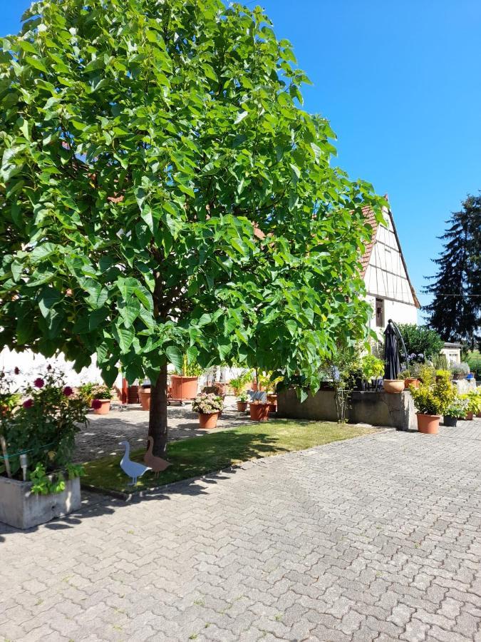 Ferienwohnung "Zum Alten Kuhstall" Oberhausen  Екстериор снимка