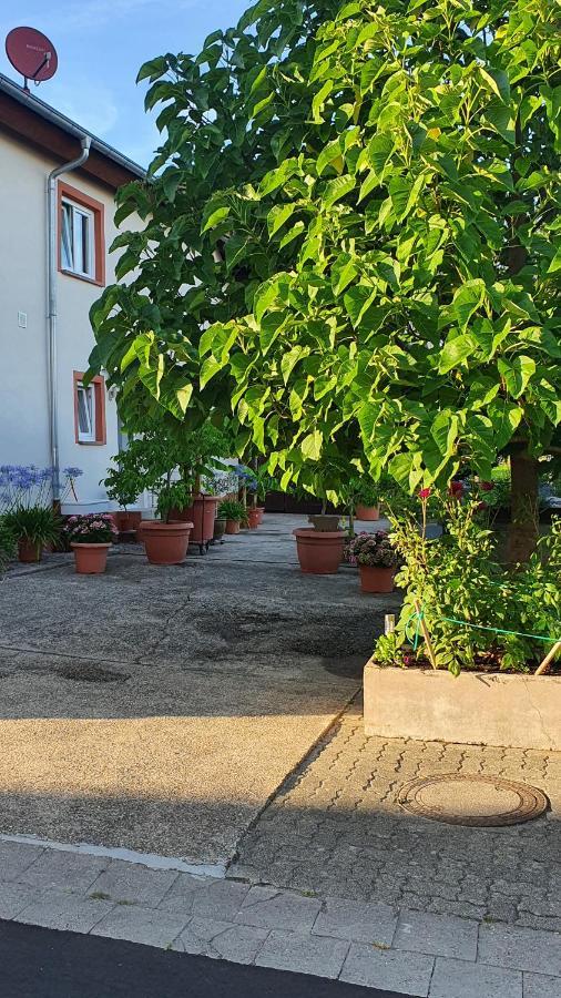 Ferienwohnung "Zum Alten Kuhstall" Oberhausen  Екстериор снимка