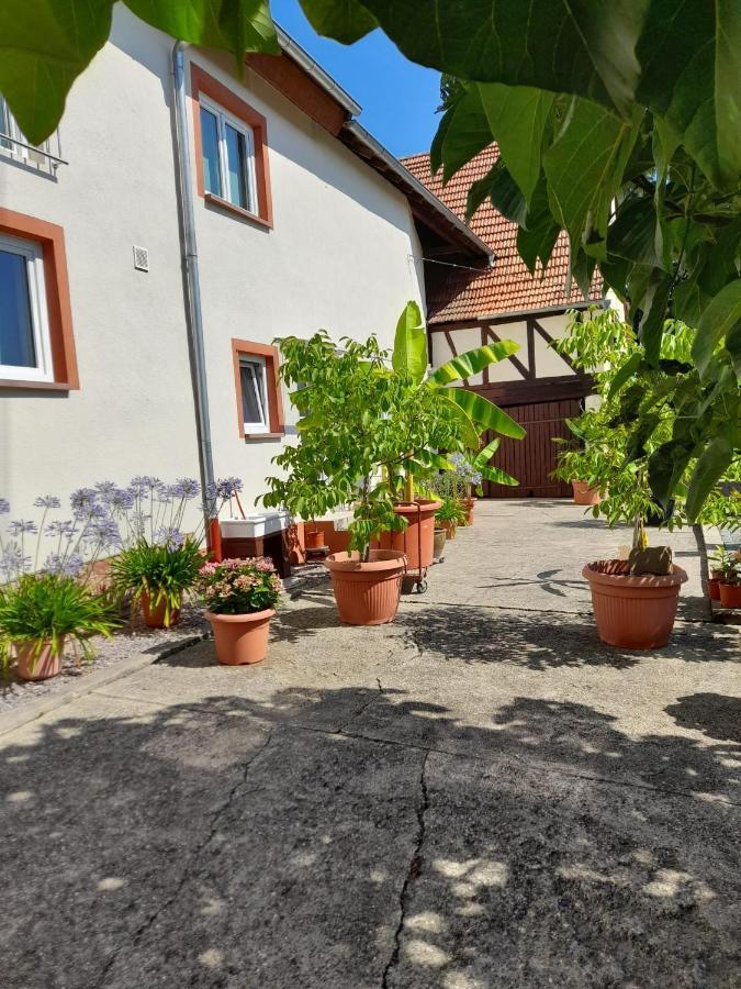 Ferienwohnung "Zum Alten Kuhstall" Oberhausen  Екстериор снимка
