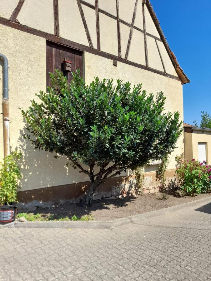 Ferienwohnung "Zum Alten Kuhstall" Oberhausen  Екстериор снимка