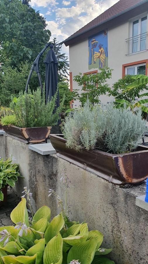 Ferienwohnung "Zum Alten Kuhstall" Oberhausen  Екстериор снимка